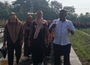 Edukasi Pertanian untuk Anak-Anak: Kegiatan SDN 2 Sarakan di Pusat Kawasan Agropolitan