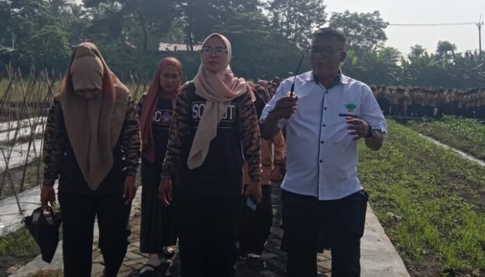 Edukasi Pertanian untuk Anak-Anak: Kegiatan SDN 2 Sarakan di Pusat Kawasan Agropolitan