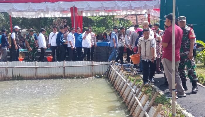 Bupati Tangerang Rayakan Hari Jadinya ke 60 Tahun, Bersama Masyarakat Desa Gandaria Serta Ikut Panen Ikan Lele