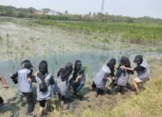 Edukasi Konservasi Mangrove, Universitas Tangerang Raya, Taman Mangrove Ketapang, Mauk