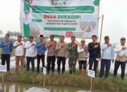 Dukung Swasembada Pangan, Desa Sukadiri dan Polsek Mauk Gelar Tanam Jagung