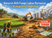 Darurat Alih Fungsi Lahan Pertanian di Kabupaten Tangerang: Sawah Tangerang Utara Harus Masuk LP2B