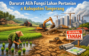 Darurat Alih Fungsi Lahan Pertanian di Kabupaten Tangerang: Sawah Tangerang Utara Harus Masuk LP2B