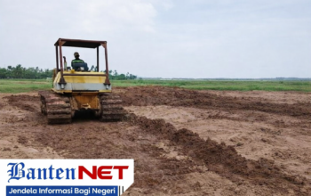 Pemkab Tangerang Diminta Lindungi Lahan Pertanian di Desa Sukasari