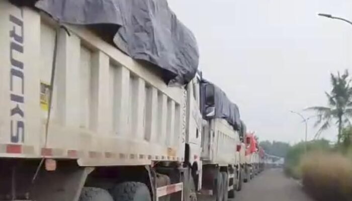 Menagih Mandat UU LP2B: Saat Sawah Kabupaten Tangerang Sekarat di Bawah Roda Truk Urugan dan Kelumpuhan Kebijakan