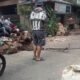 Komplotan Pencuri Kabel Tembaga Beraksi Disiang Hari
