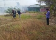 Kades Mekar Baru, Bantu Padamkan Kebakaran Lahan Pesawahan