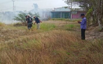 Kades Mekar Baru, Bantu Padamkan Kebakaran Lahan Pesawahan